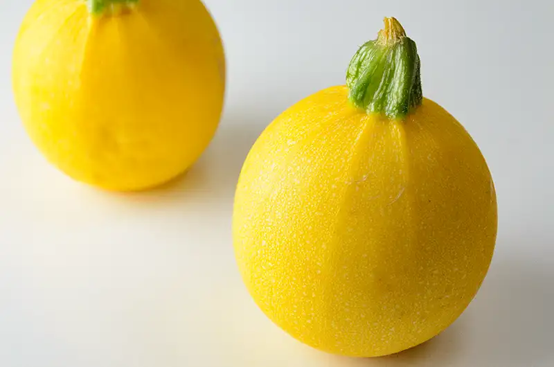 Round yellow zucchini