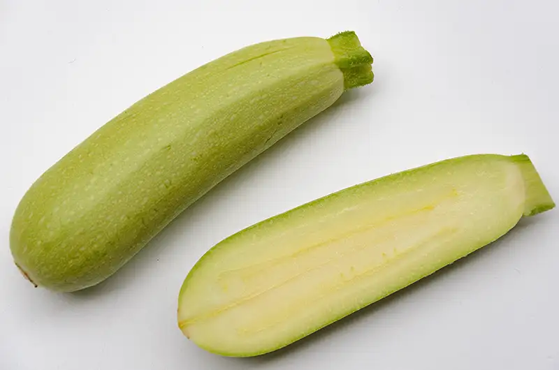 White zucchini cross section